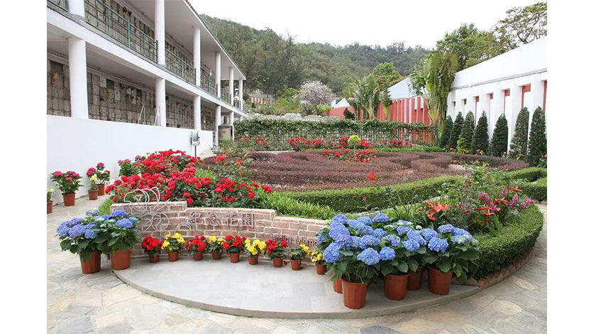 加強推廣環保葬    